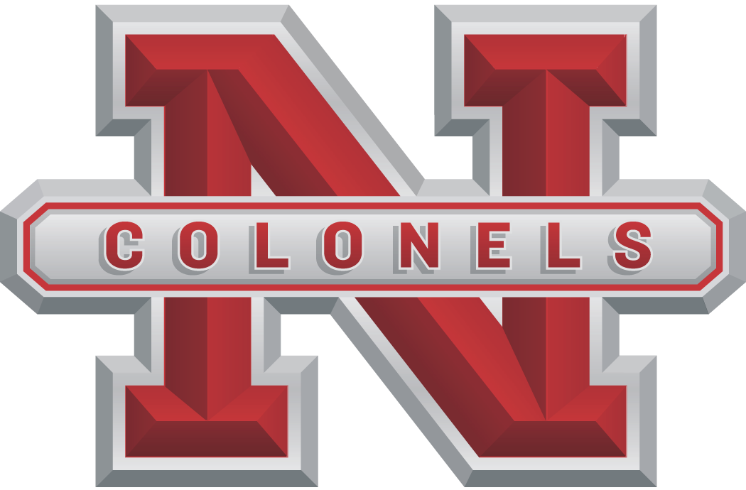 Nicholls State Colonels 2005-2008 Alternate Logo iron on transfers for T-shirts
